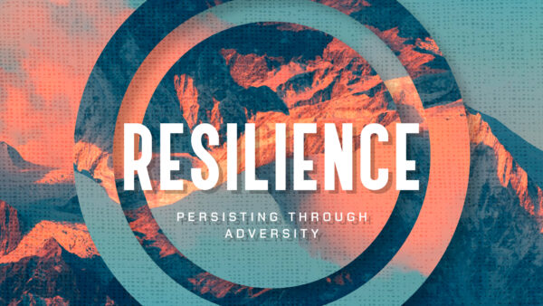 Resilience: Persisting Through Adversity